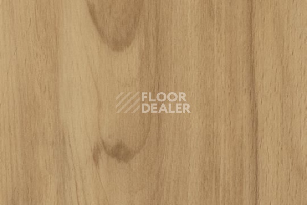 Плитка ПВХ FORBO Allura Click 60026CL5 classic beech фото 1 | FLOORDEALER